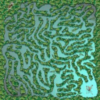 /album/bludiste1/aligatori-jpg/