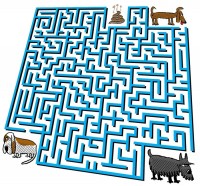 /album/bludiste1/exkrement-jpg1/